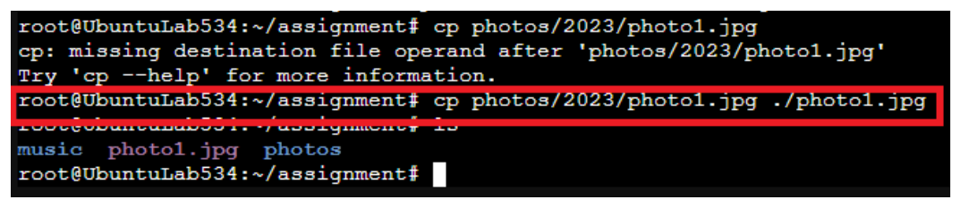 Terminal showing a failed cp command missing its destination, followed by the corrected version succeeding